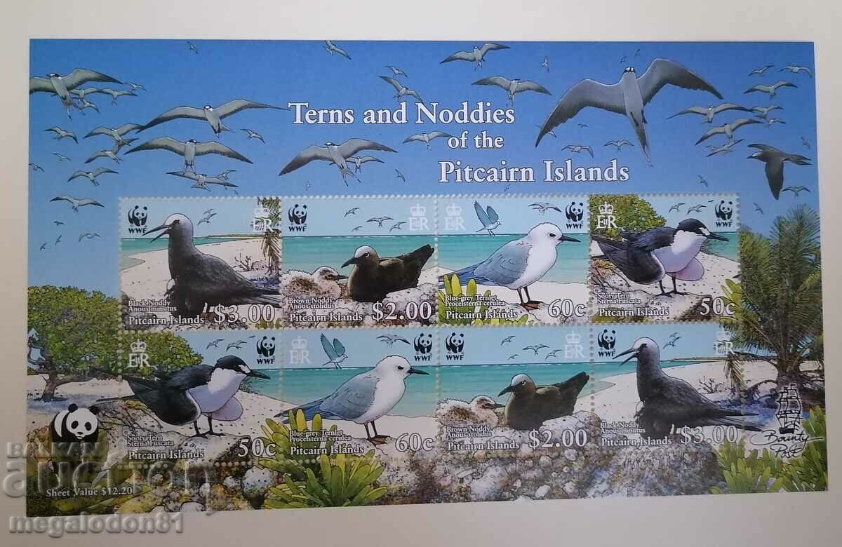 Pitcairn - πανίδα WWF, γλαρόνια