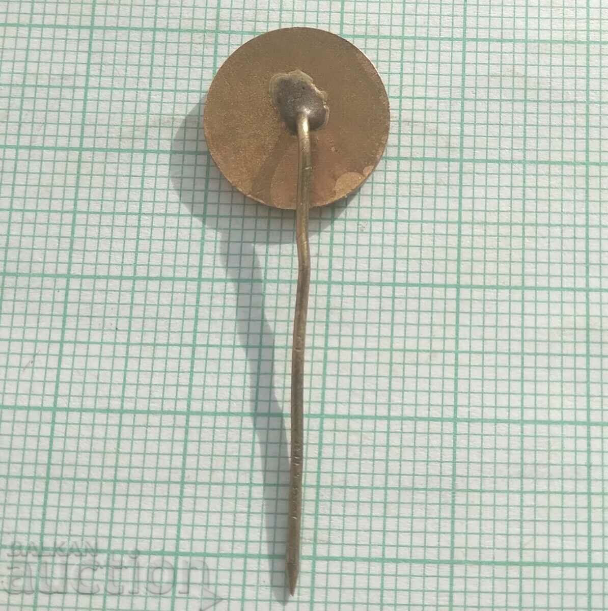 Auction 15112 BFH Bulgarian Handball Federation - bronze enamel Auction 15112 BFH Bulgarian Handball Federation - bronze enamel