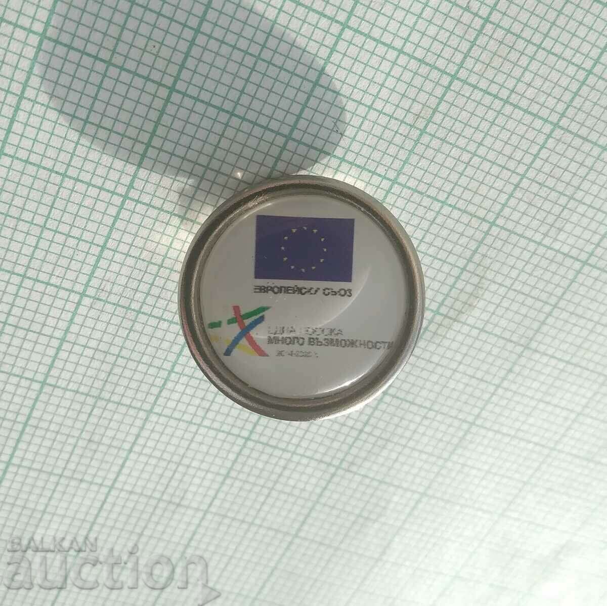 Auction 15113 Badge - European Union Auction 15113 Badge - European Union