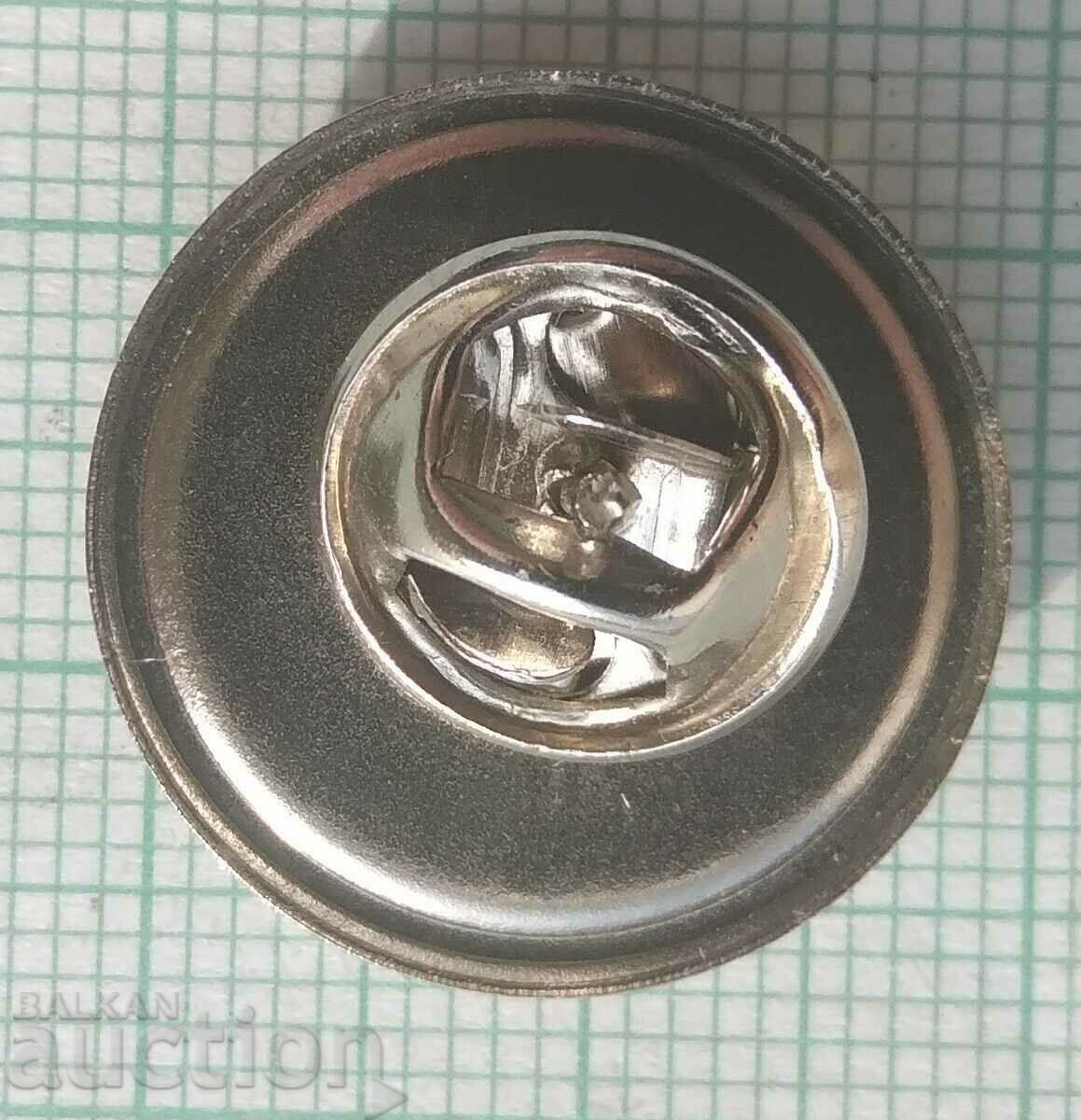 Delivery of 15113 Badge - European Union Delivery of 15113 Badge - European Union