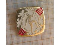Badge of the Soviet winter spartakiade cross-country skiing