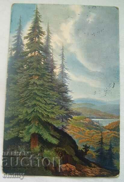 Стара пощенска картичка 1907 г. - пътувала до Анверс
