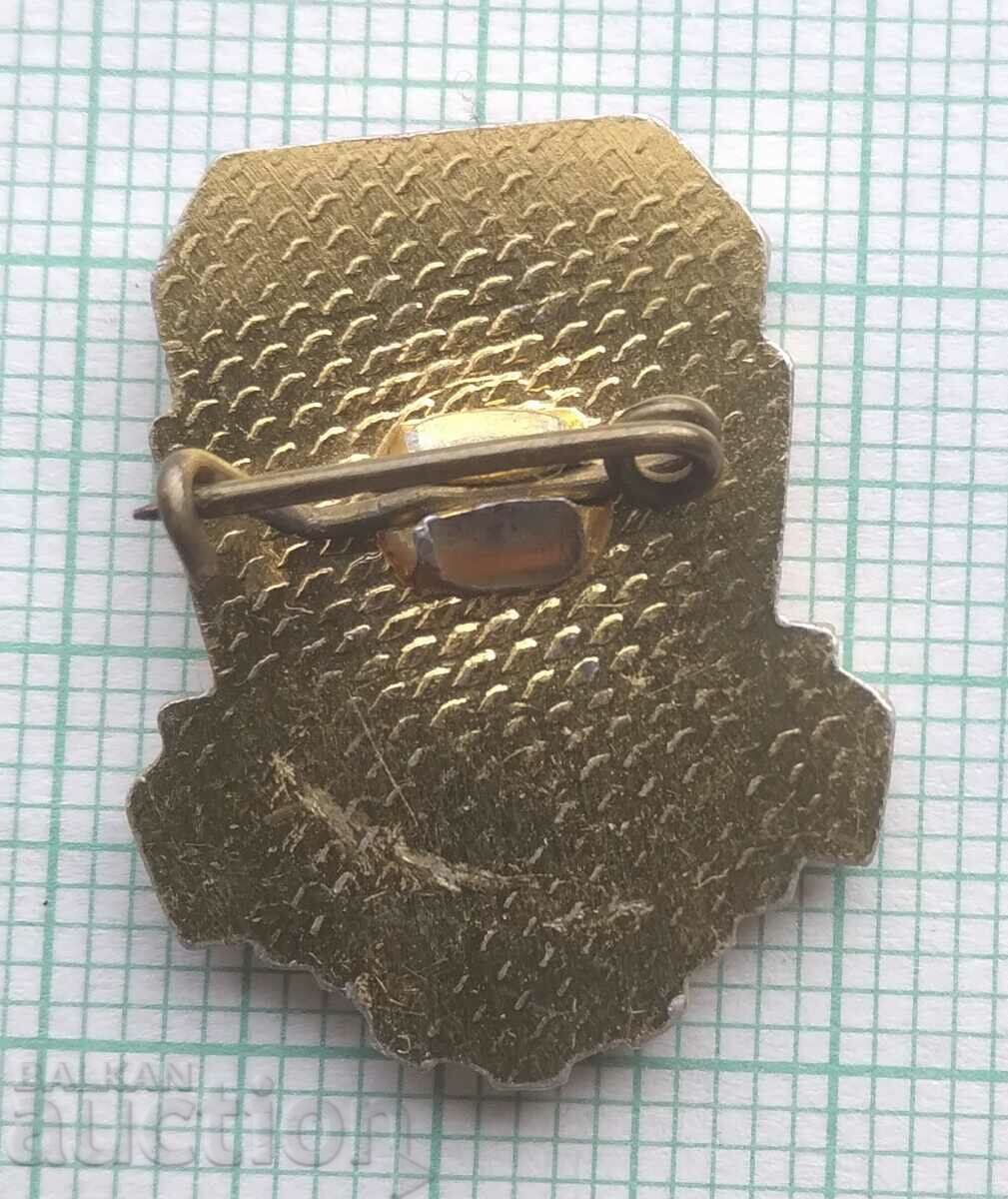 Auction  15132 Badge - BSFS Union for Physical Culture and Sports