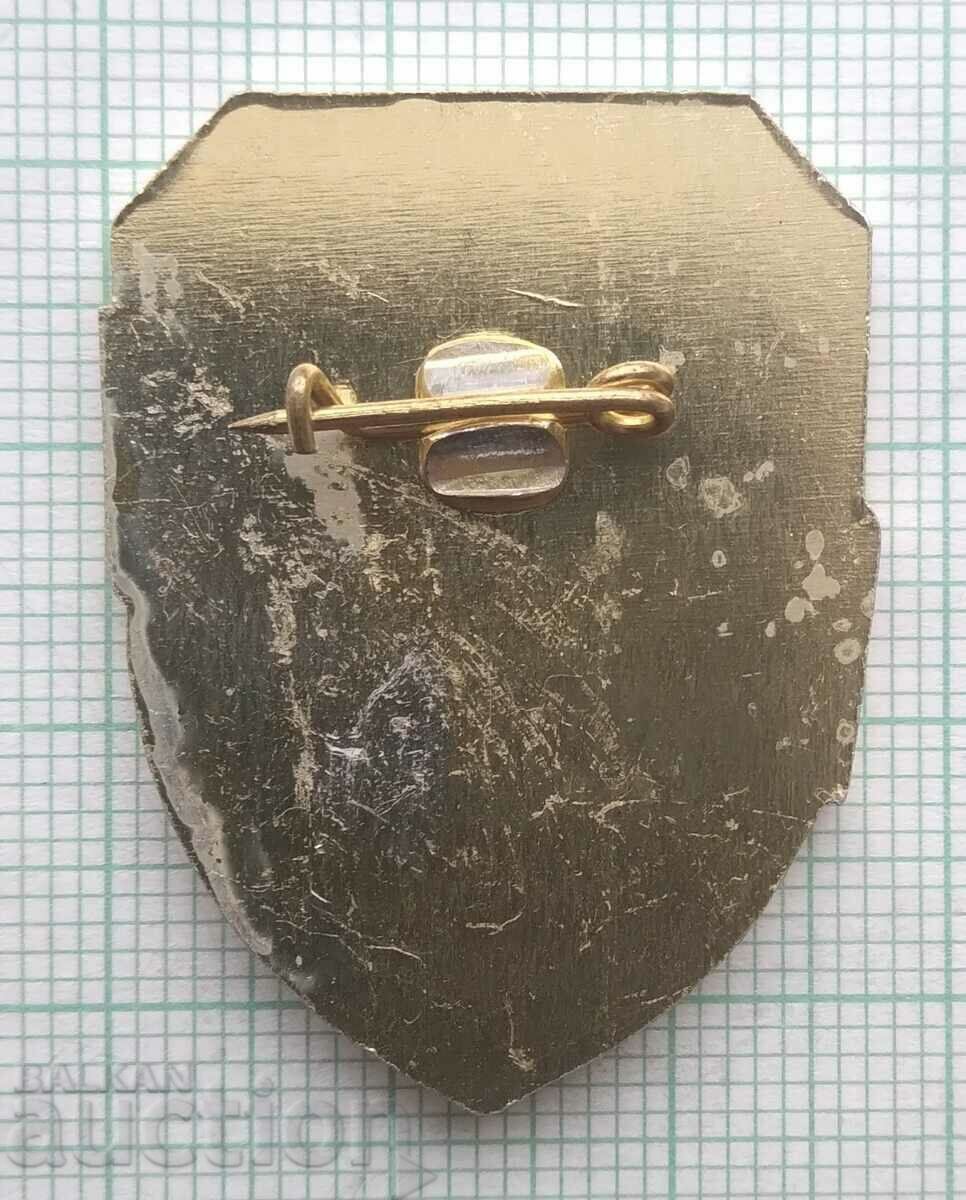 Delivery of 15134 Badge - Distinguished Serviceman