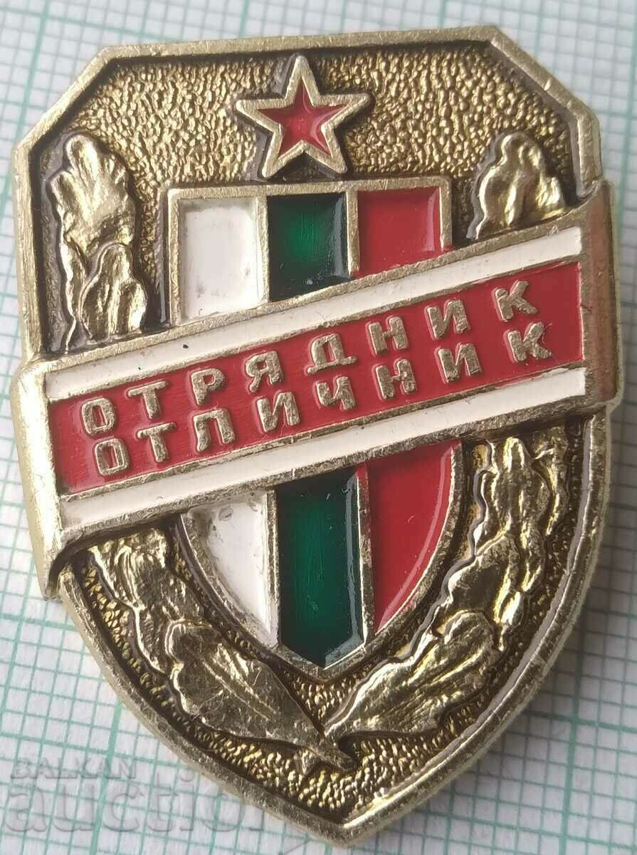 15134 Badge - Distinguished Serviceman