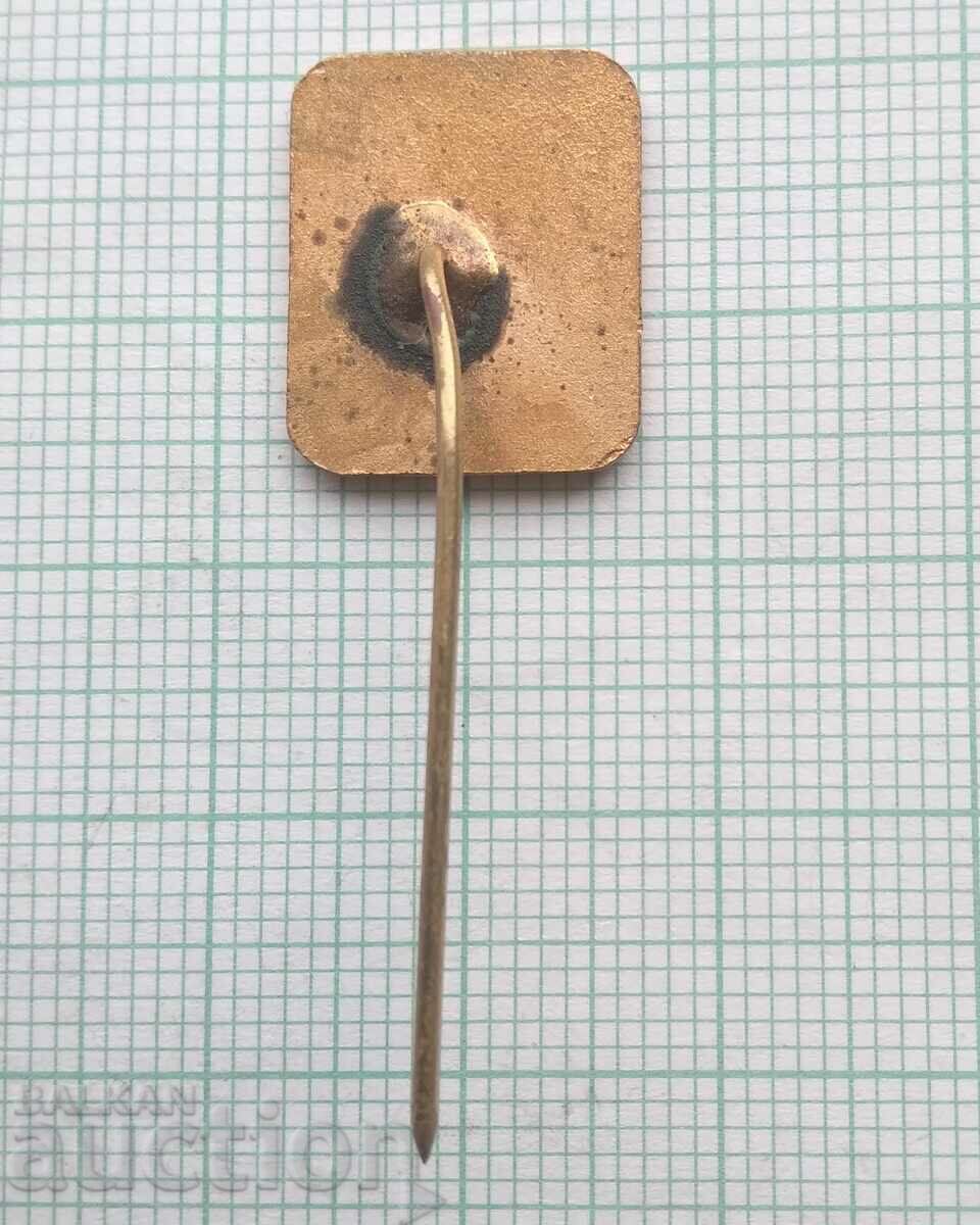 Licitație 15135 Insigna - Sport all-around CM Rodina - bronz