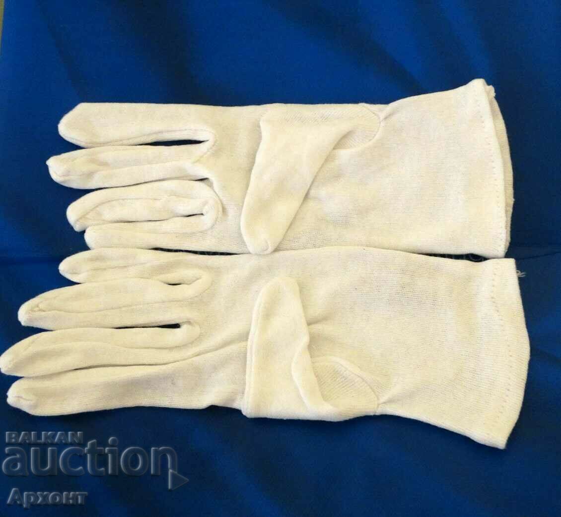 Numismatic gloves
