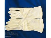 Numismatic gloves