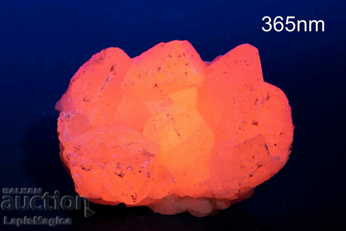 Druse of pink manganocalcite from Bulgaria fluorescent 247g