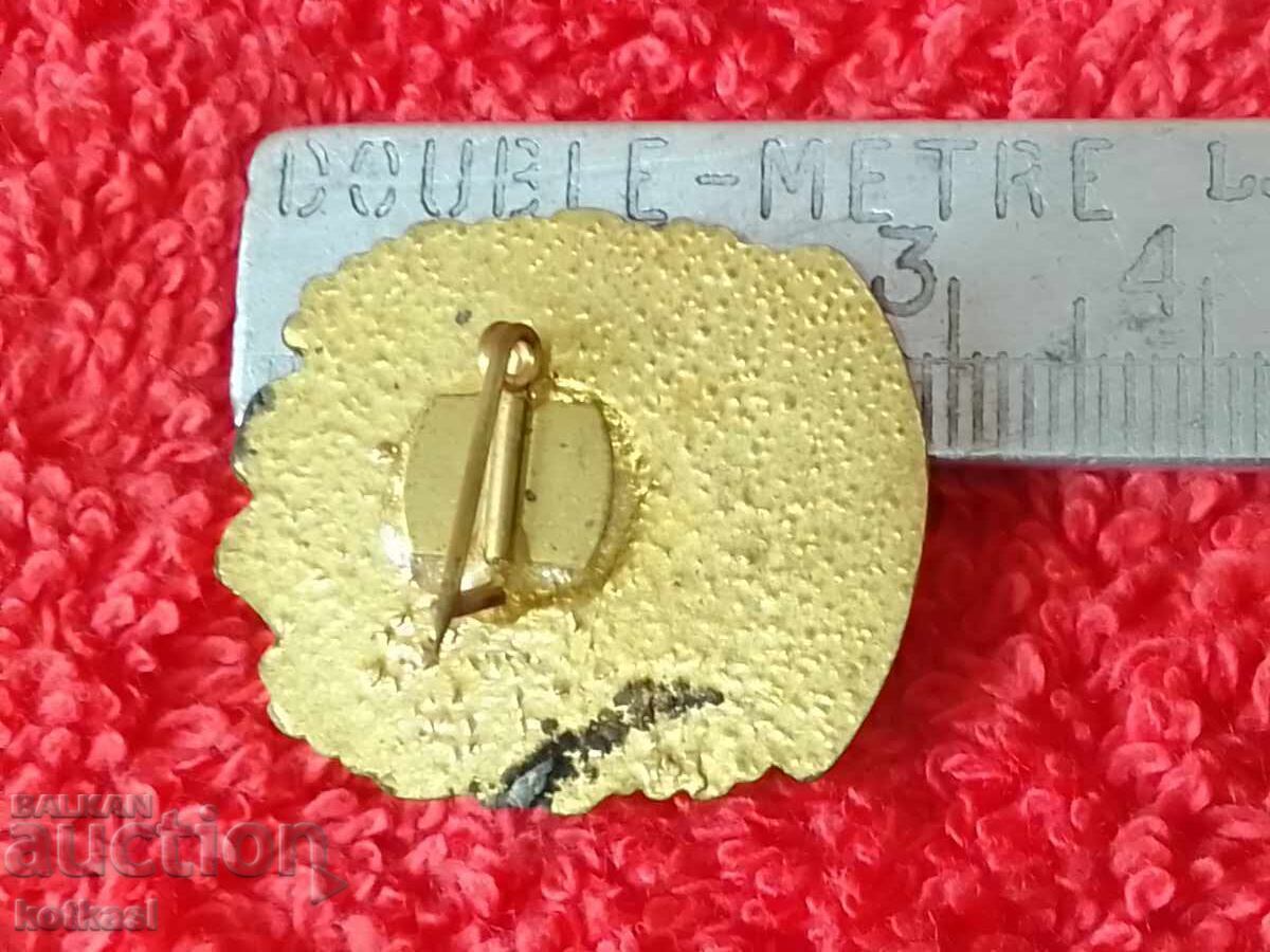 Old social badge enamel bronze Conqueror of the mountain leaders with price 10.50 BGN | € 5.37 Old social badge enamel bronze Conqueror of the mountain leaders with price 10.50 BGN | € 5.37