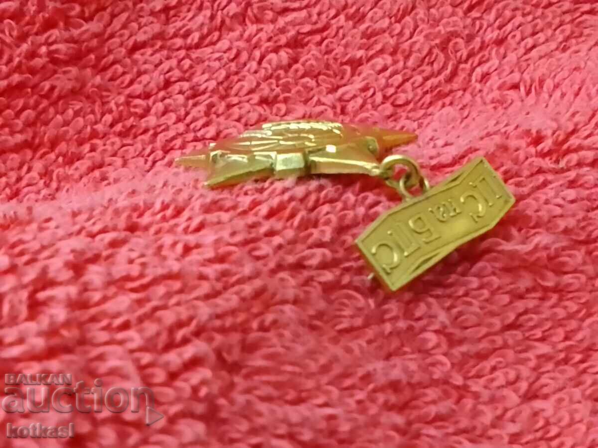 Old Badge bearer CS Badge of the BPS excellent with price 5.50 BGN | € 2.81