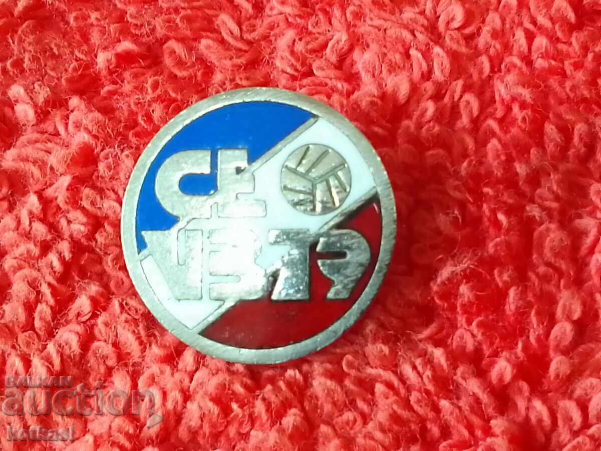 Delivery of Old metal social sports Badge Volleyball