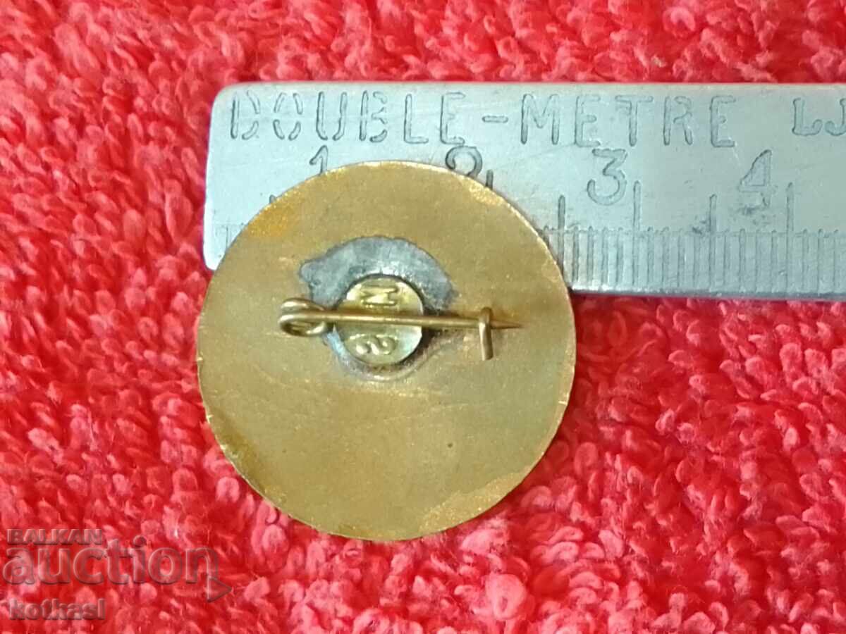 Old Bronze Enamel Friend of Game and Fish BLRS Badge with price 55.50 BGN | € 28.38 Old Bronze Enamel Friend of Game and Fish BLRS Badge with price 55.50 BGN | € 28.38