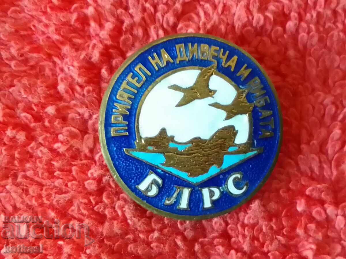 Auction Old Bronze Enamel Friend of Game and Fish BLRS Badge Auction Old Bronze Enamel Friend of Game and Fish BLRS Badge