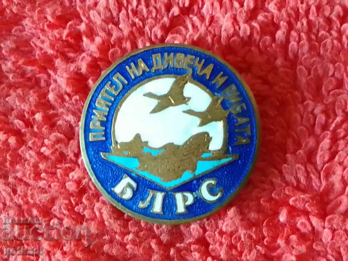 Delivery of Old Bronze Enamel Friend of Game and Fish BLRS Badge Delivery of Old Bronze Enamel Friend of Game and Fish BLRS Badge