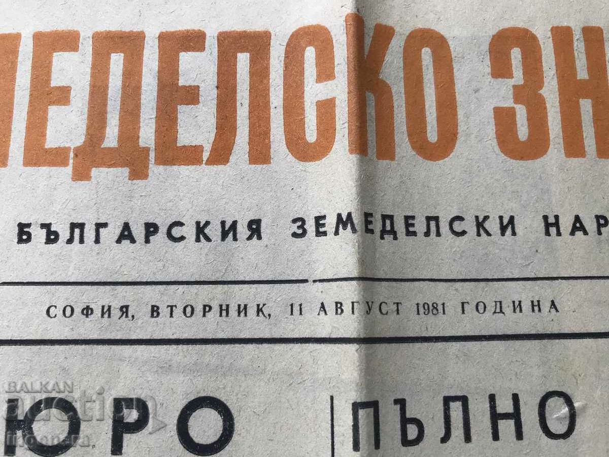 Auction NEWSPAPER "AGRICULTURAL FLAG" - AUGUST 11, 1981 Auction NEWSPAPER "AGRICULTURAL FLAG" - AUGUST 11, 1981