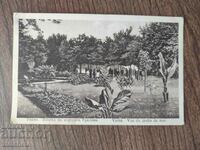 Ταχυδρομική κάρτα Βασίλειο της Βουλγαρίας - Θαλάσσιος Κήπος της Βάρνας