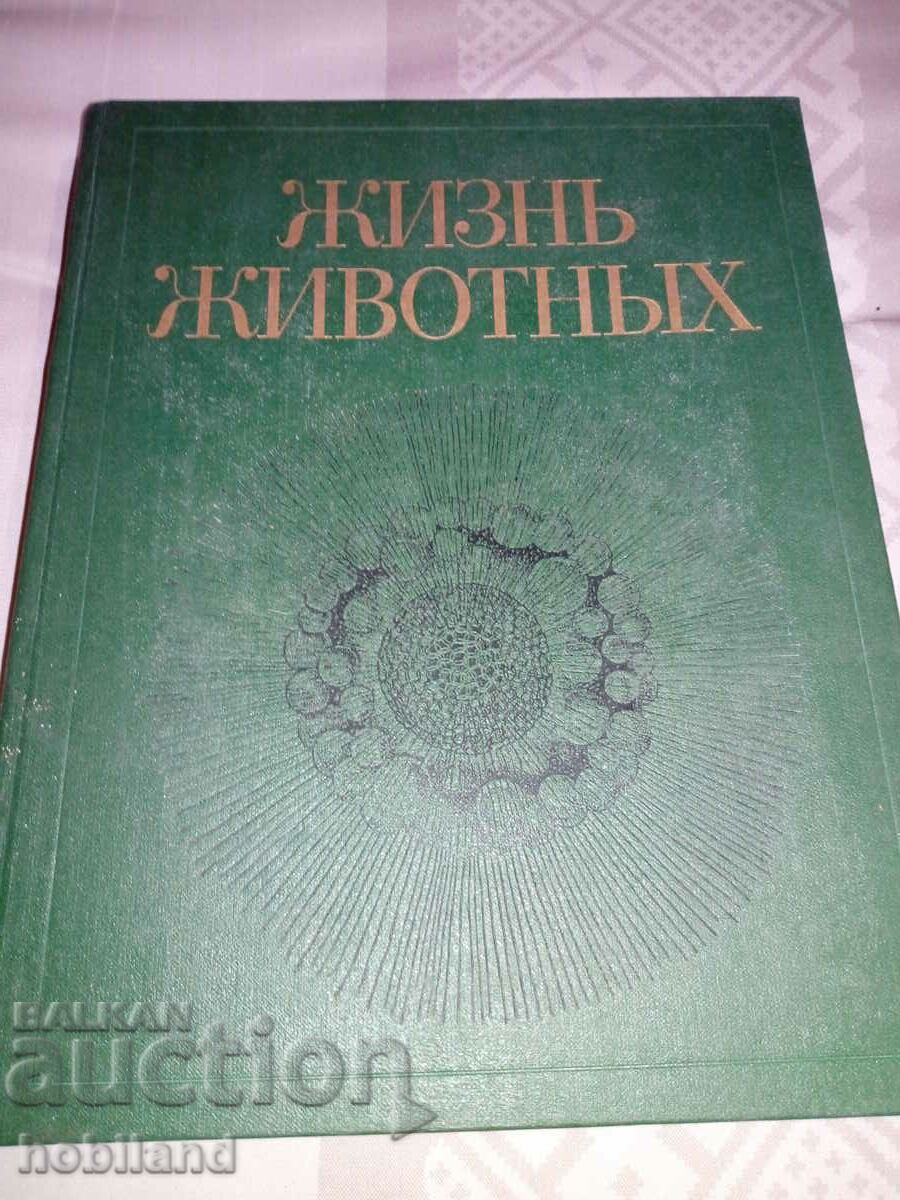 LIFE OF LIFE with price 10.00 BGN | € 5.11 LIFE OF LIFE with price 10.00 BGN | € 5.11