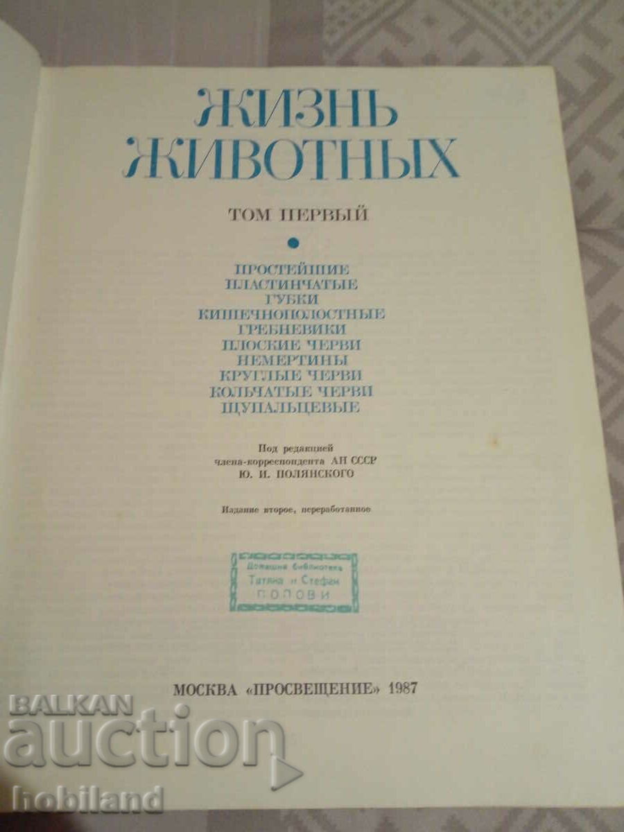 Auction LIFE OF LIFE Auction LIFE OF LIFE