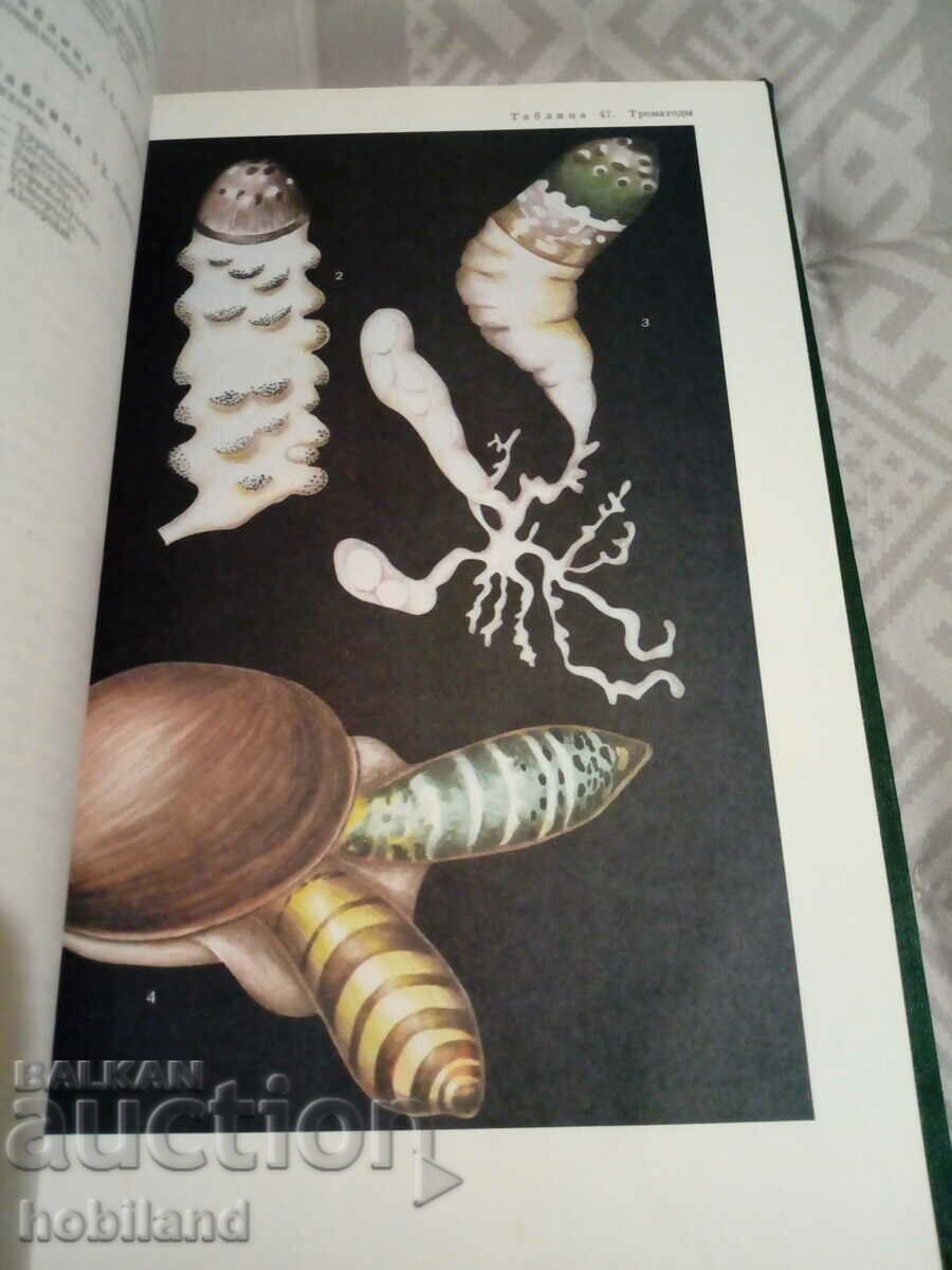 Delivery of LIFE OF LIFE Delivery of LIFE OF LIFE