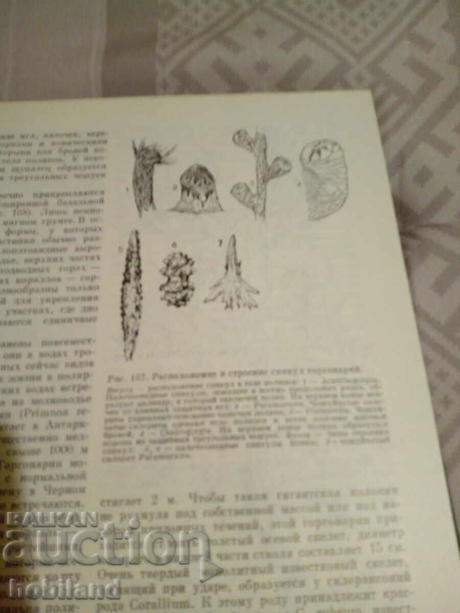 LIFE OF LIFE - 5 LIFE OF LIFE - 5