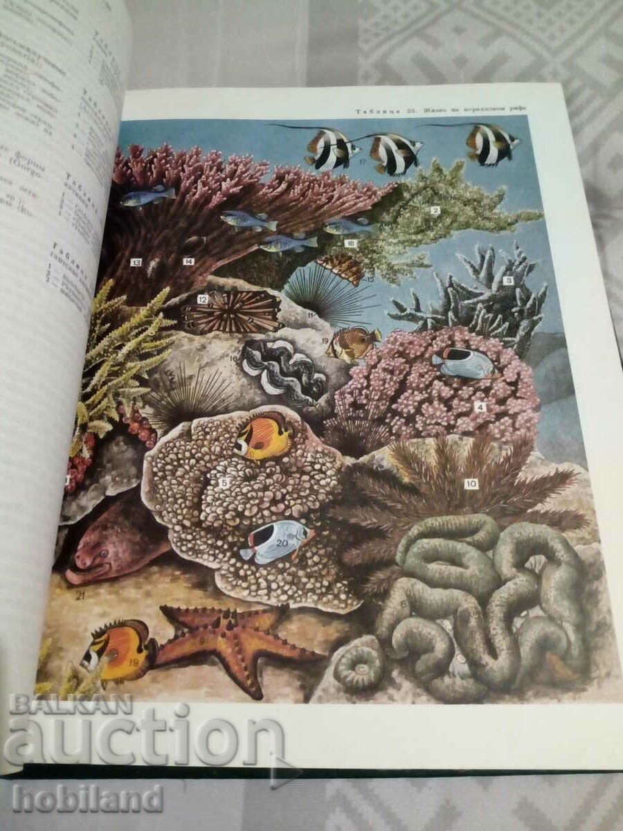 LIFE OF LIFE - 7 LIFE OF LIFE - 7