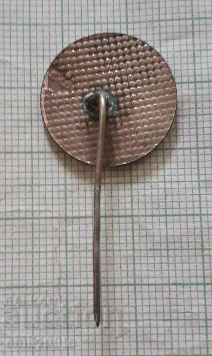 Delivery of Badge - MI Delivery of Badge - MI