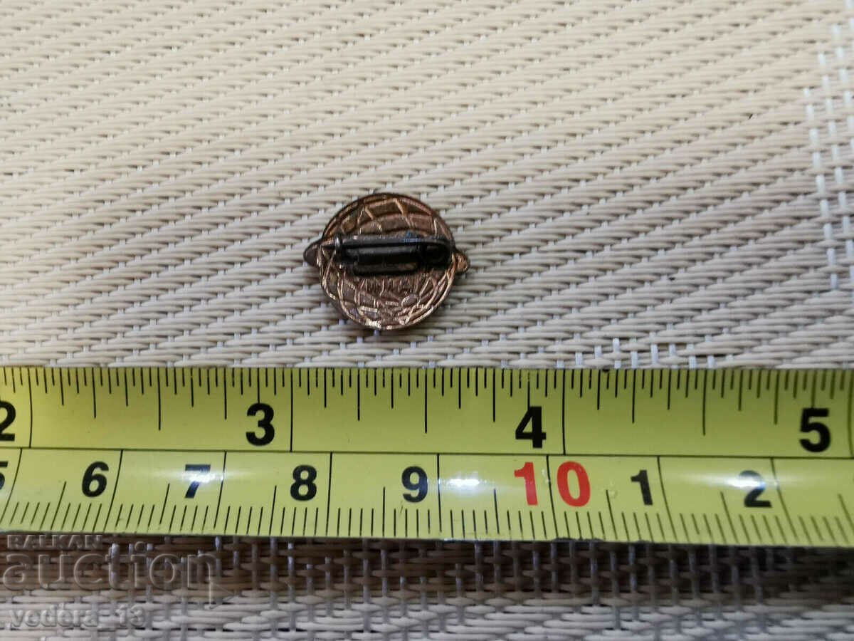 BADGE with price 40.00 BGN | € 20.45 BADGE with price 40.00 BGN | € 20.45