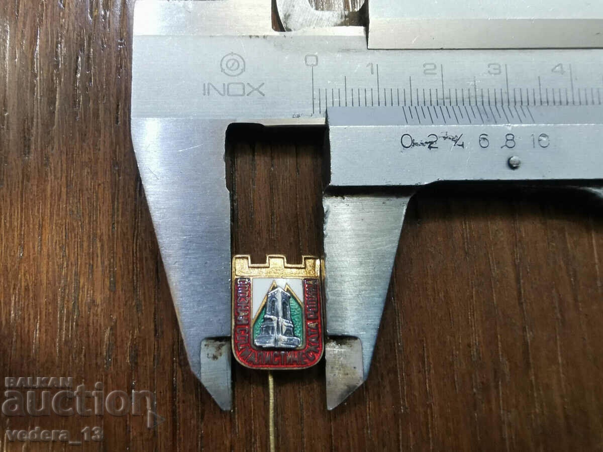 Auction BADGE Auction BADGE