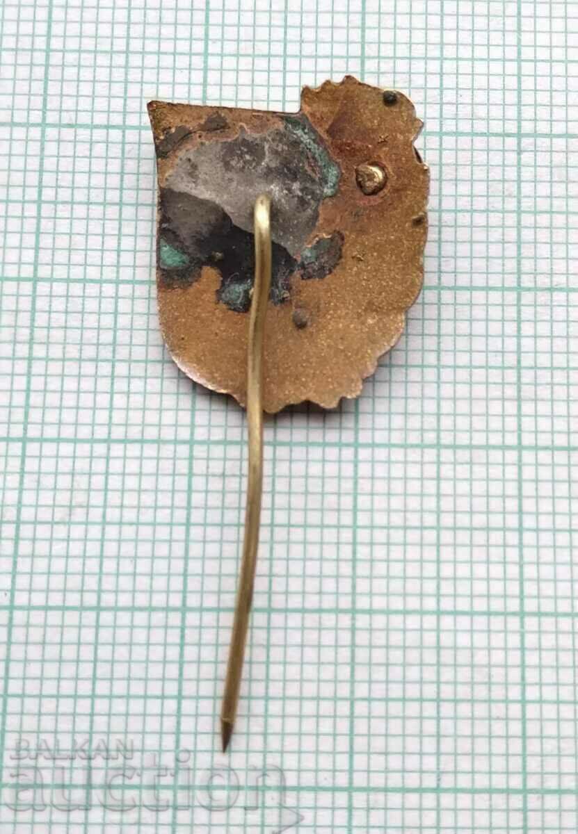 Auction 15176 Badge - 20 years VIF Georgi Dimitrov - bronze enamel Auction 15176 Badge - 20 years VIF Georgi Dimitrov - bronze enamel