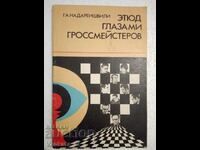 Etude through the eyes of a grandmaster - G. A. Nadareishvili