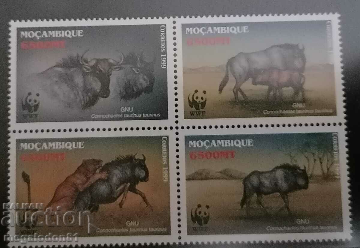 Mozambique - wildebeest