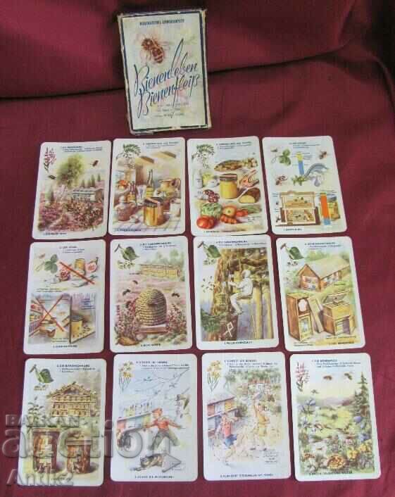 Auction  70's Kids Playing Cards - Educational