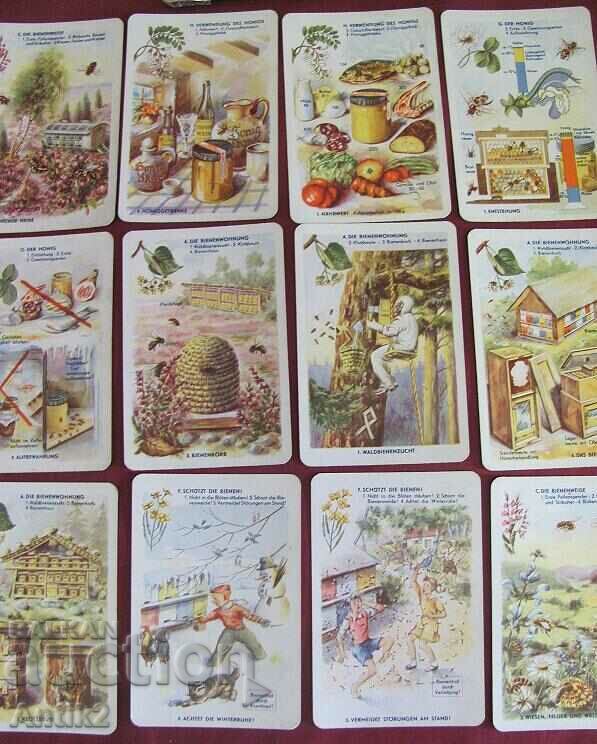 Delivery of 70's Kids Playing Cards - Educational