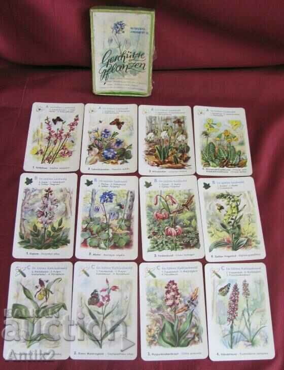 70's Kids Playing Cards - Educational - 5