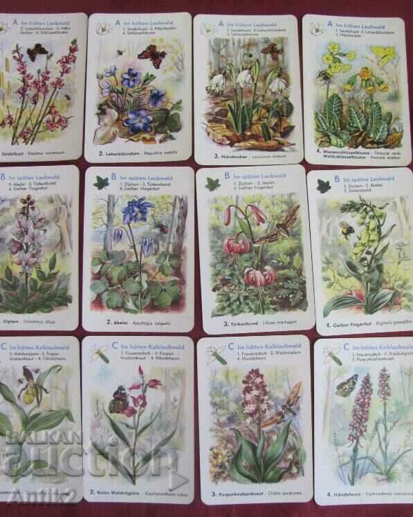 70's Kids Playing Cards - Educational - 6