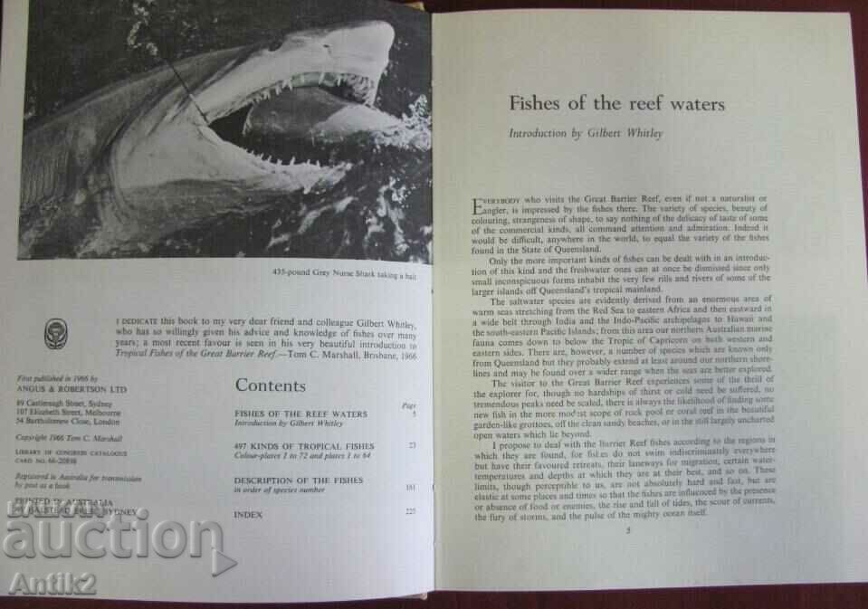 1966. Book on the Tropical Fishes of the Green Barrier Reef with price 75.00 BGN | € 38.35 1966. Book on the Tropical Fishes of the Green Barrier Reef with price 75.00 BGN | € 38.35