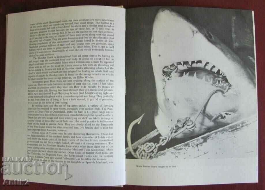 Auction 1966. Book on the Tropical Fishes of the Green Barrier Reef Auction 1966. Book on the Tropical Fishes of the Green Barrier Reef