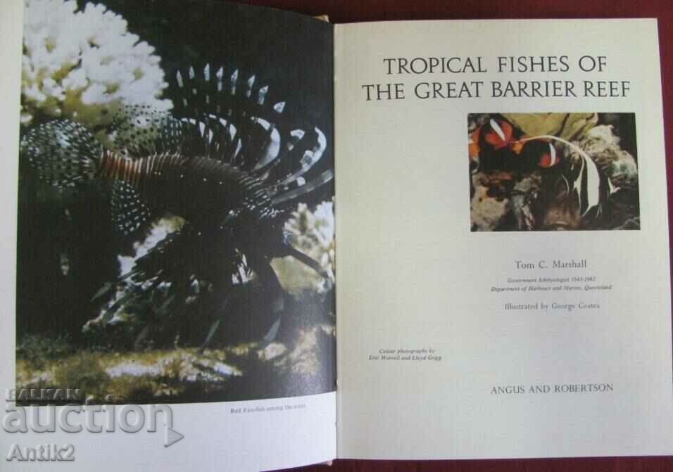 Delivery of 1966. Book on the Tropical Fishes of the Green Barrier Reef Delivery of 1966. Book on the Tropical Fishes of the Green Barrier Reef