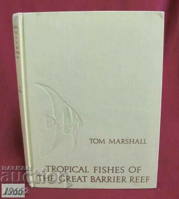 1966г.Книга за Тропическите Риби от Зеления Бариерен Риф