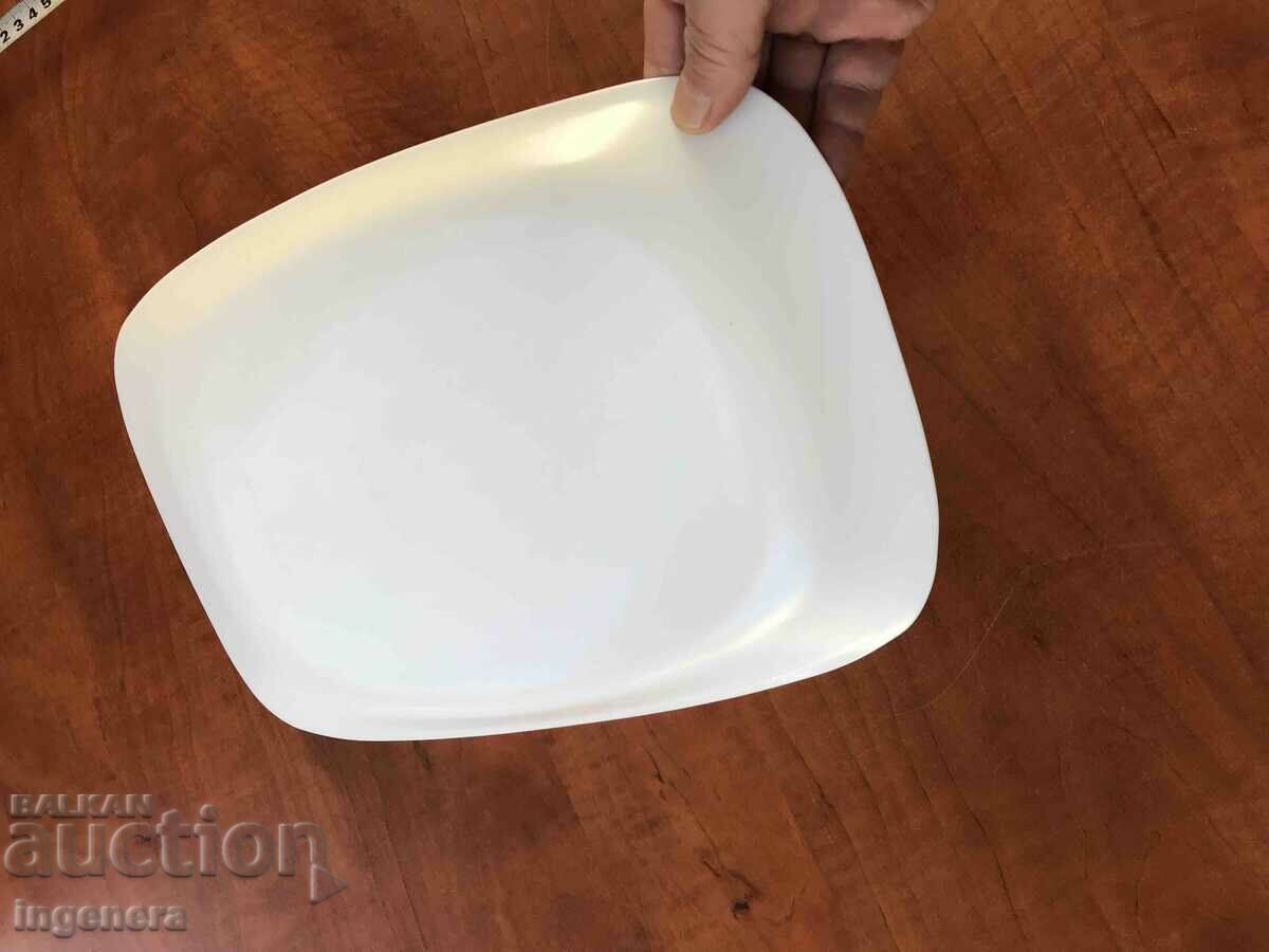 Delivery of ARCOPAL PLATEAU TRAY