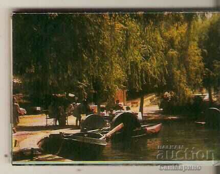 Card Bulgaria Velingrad Album mini 2 with price 1.20 BGN | € 0.61 Card Bulgaria Velingrad Album mini 2 with price 1.20 BGN | € 0.61