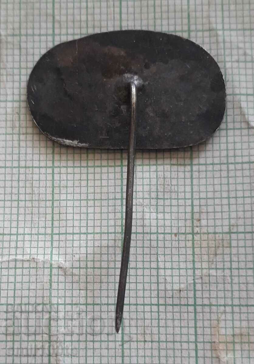 Delivery of Badge - Buzludzha 1891 Delivery of Badge - Buzludzha 1891