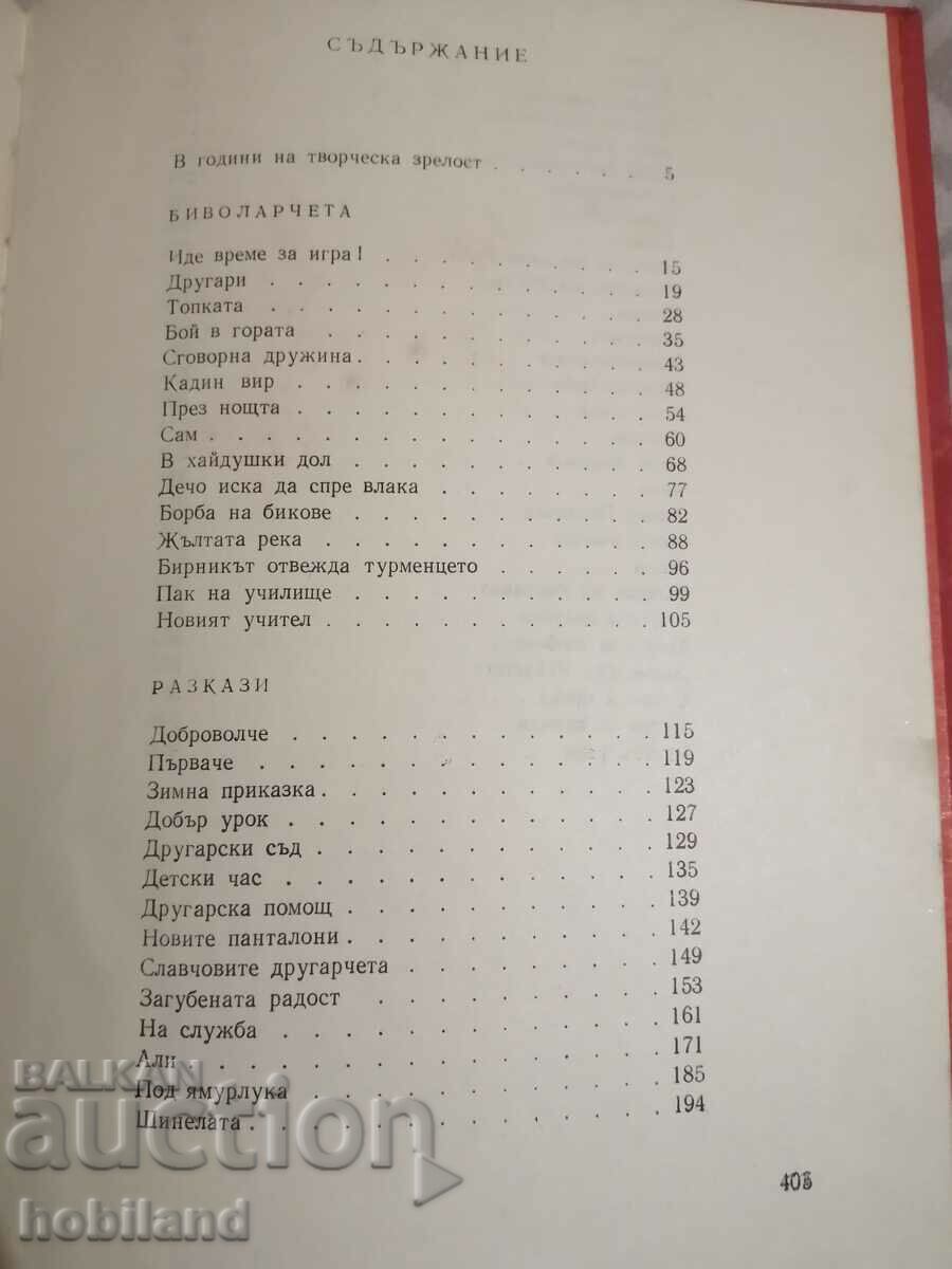 Children's joys with price 2.00 BGN | € 1.02 Children's joys with price 2.00 BGN | € 1.02