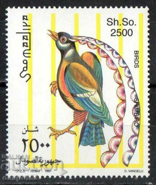 1997. Somalia. Păsări.