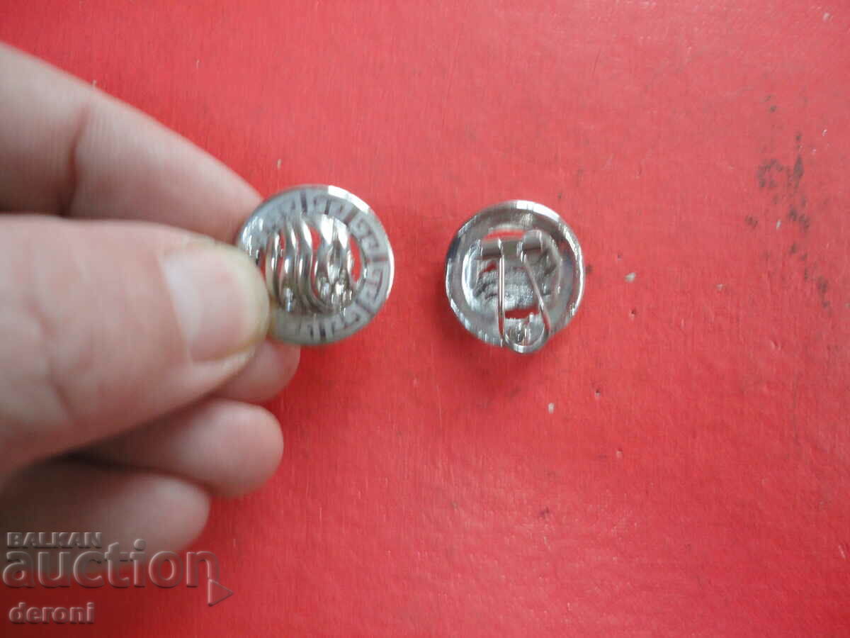 Auction Great earrings earrings with stones 9 Auction Great earrings earrings with stones 9