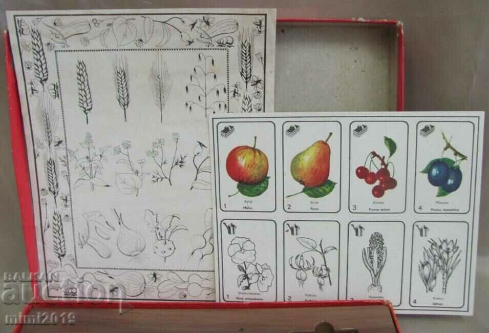 Auction 70's Children's Game - Prints Germany Auction 70's Children's Game - Prints Germany