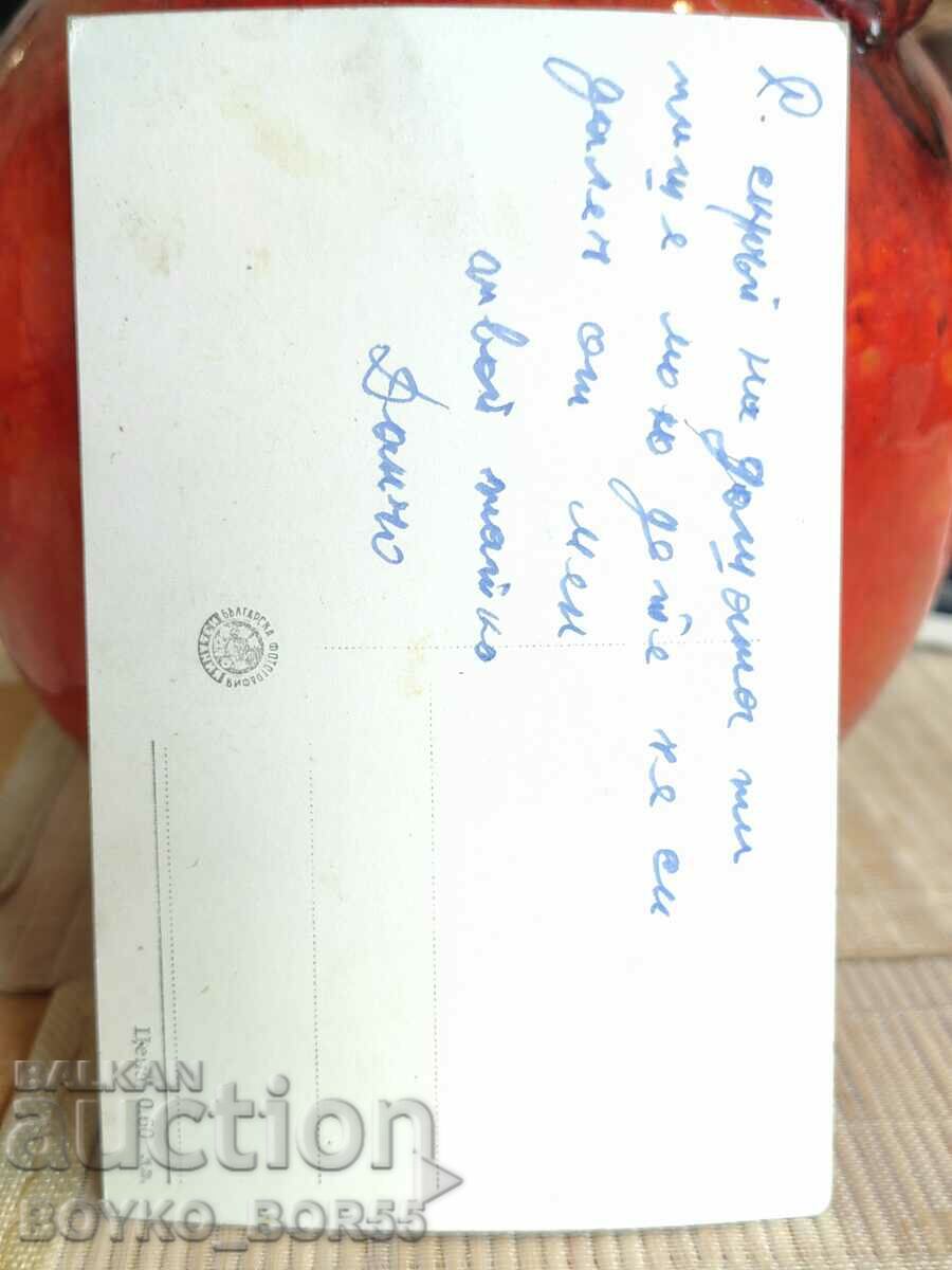 Old Postcard Stalin Dam with price 7.00 BGN | € 3.58 Old Postcard Stalin Dam with price 7.00 BGN | € 3.58