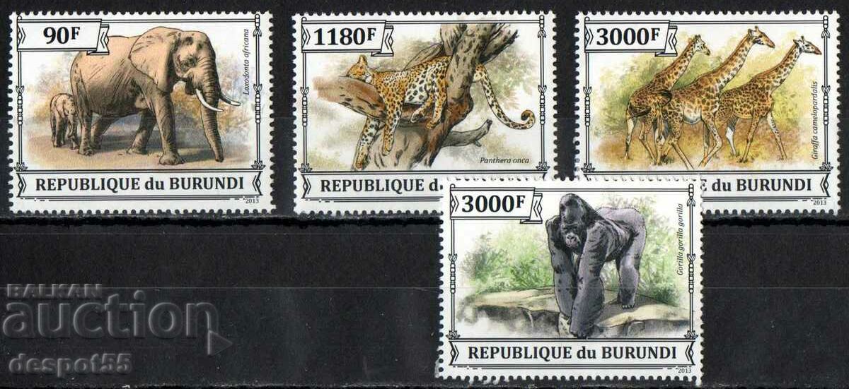 2013. Burundi. African fauna.