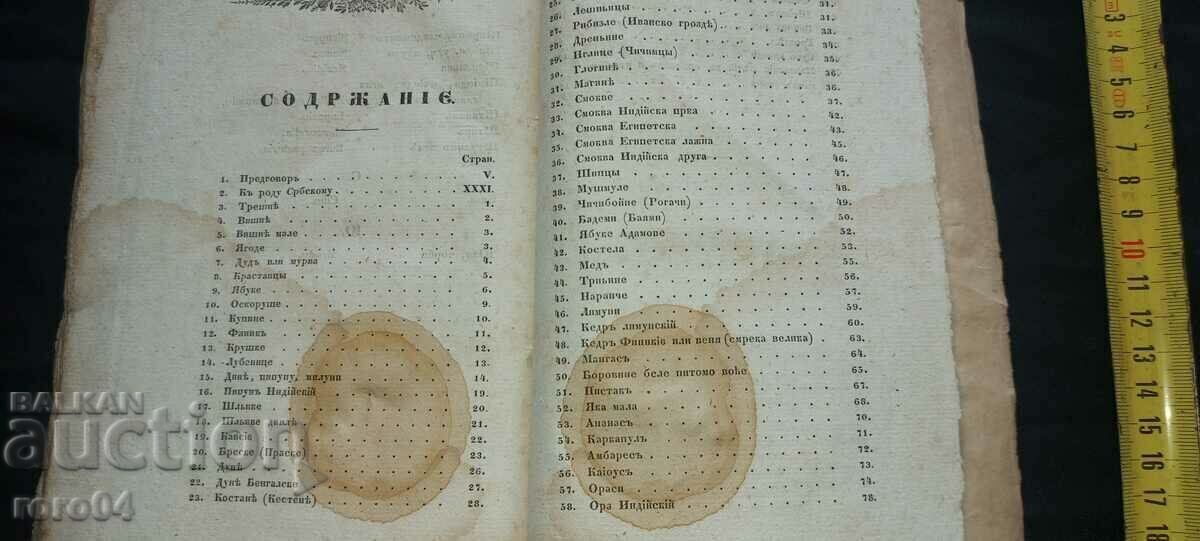 OLD WORLD BOOK - 1840 - 7 OLD WORLD BOOK - 1840 - 7